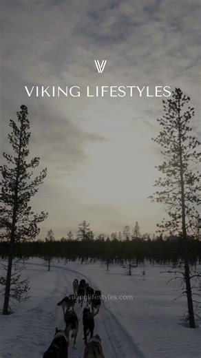 ⚔️🇸🇪 #runestones #sweden | Viking Lifestyles