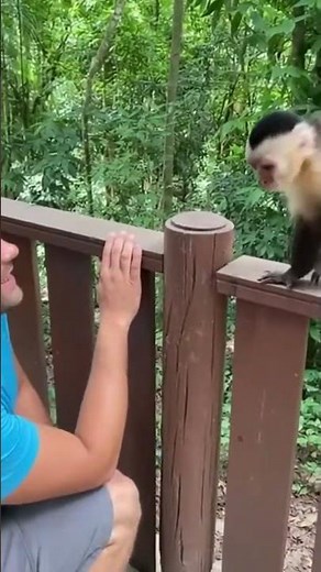 He saw the monkey struggling and didn't walk away #rescue #animals