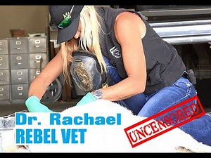 Rebel Vet Episode 20 'Goat Got Hurt'
