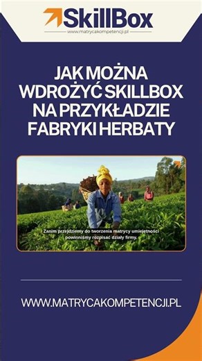 Wdrożenie Matrycy Umiejętności w fabryce herbaty