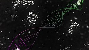 Rotation Dna Molecule Medical Research Germs Stock Footage Video (100% Royalty-free) 1089521527 | Shutterstock