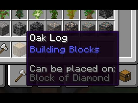 How to Use Can Destroy and Can Place Command in Minecraft Java!