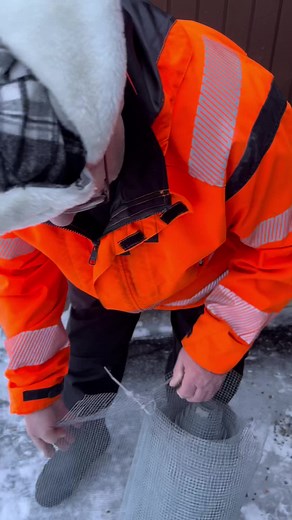 Kuivalihan valmistus DIY-henkisesti: Häkin rakentaminen ja lihojen ripustus 2 viikon päästä