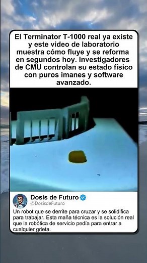 EL TERMINATOR T-1000 YA ES REAL