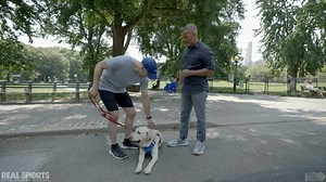 8.6K views · 89 reactions | Tomorrow in our special edition of ‘Dogs and Sports’, we learn about an extraordinary guide dog program that offers blind runners a sense of hope and freedom they never thought possible. Catch this special episode tomorrow at 11PM following #HardKnocks only on Max. | Real Sports with Bryant Gumbel | Facebook