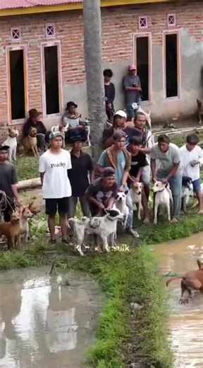 Exploring Onion Town in West Sumatra