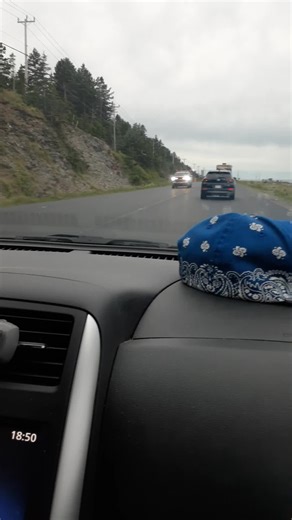 Zachary (@chif_911)’s videos with original sound - switchdisco