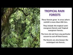 Introduction To Natural Vegetation Of India Video Lecture - Class 8