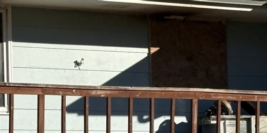 One seriously injured in Crooks structure fire