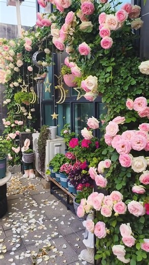 Romantic Rose Garden Setup 🌹 | Small Space Garden Inspiration ✨