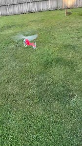 Mini RC helicopter 🚁 | RC Hobby