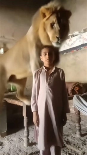 #viralvideo #edit #love