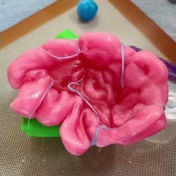 Making a Brain with Reusable Polydoh Moldable Plastic