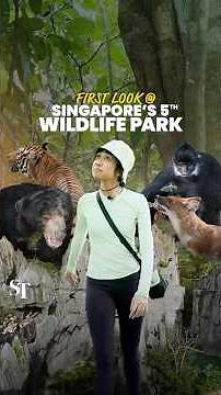 First walkthrough at Rainforest Wild Asia in Mandai