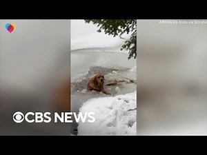 Family rescues dog stuck in frozen lake