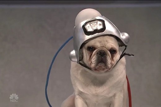 ‘SNL’: Scarlett Johansson’s Talking Dog Turns Out To Be a Trump Fan (Video)