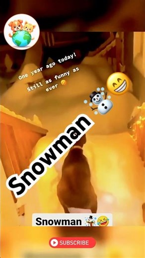 Cute and Funny Pets 🐶🥲