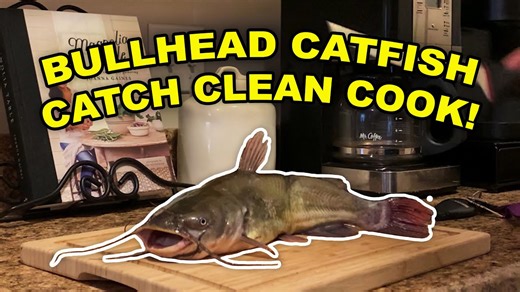 Bullhead Catfish Catch Clean Cook!