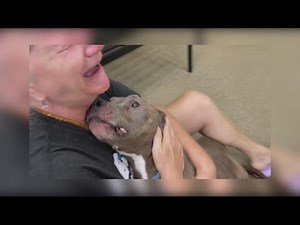 Owner reunited with lost dog after years apart | Get Uplifted