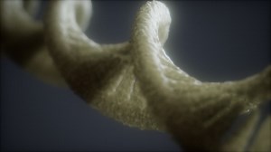 Loopable structure of the DNA double helix animation | Premium Stock Video Footage