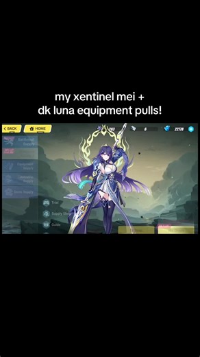 Raiden Mei Pulls and Gear in Honkai Impact 3rd