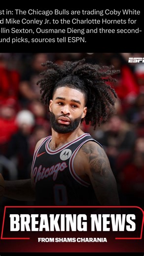 Jimmy C | Coby White to the Hornets 🐝 #Hornets #Bulls #CobyWhite #NBA | Instagram