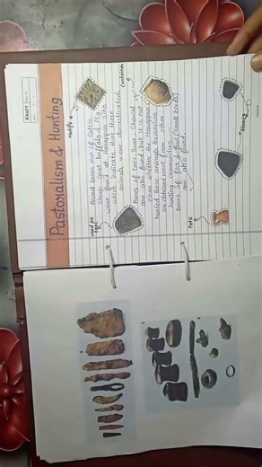 Harappan civilization project file class 12th history #ivc #sameersirpw