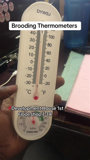 Chicks dying from wrong temperature? Stop guessing! 🐥📊 This HTC-1 Brooding Thermometer shows you EXACT temp & humidity 24/7: Big clear screen (temp humidity clock) °C/°F switch – easy for everyone Magnet & stand – hangs in brooder or sits anywhere Accurate monitoring → no heat stress, no cold kills Perfect for gas brooders, electric, or solar setups – save your batch from day 1🔥💯 For your orders and Inquiries, whatsapp/Call 0716 566 544 | 0727 474 045 #poultryequipment #poultryfarm #urbanfar