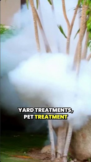 How Should You Treat Fleas in the Yard?