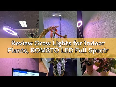 Review Grow Lights for Indoor Plants, ROMSTO LED Full Spectrum Plant Light for Indoor Plants, Height