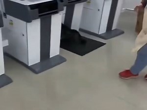 BestGore上的难绷视频