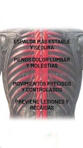 🧠 El Músculo Oculto que Mantiene tu Columna Firme (¡Casi Nadie lo Entrena!)
