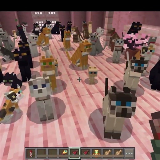 Our Minecraft Cats 😘 #minecraft