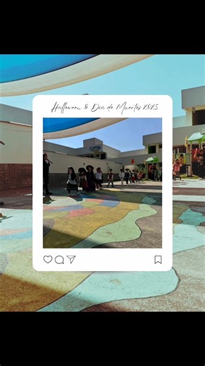 Learning Project Institute on Reels