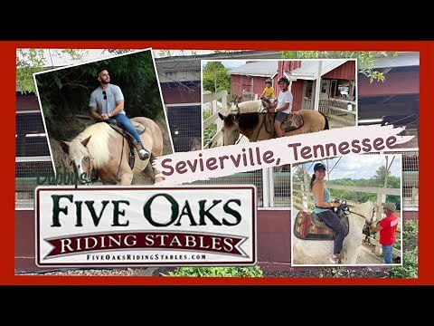 Five Oaks Riding Stables - Sevierville, Tennessee / Horseback Riding, Zip Lining