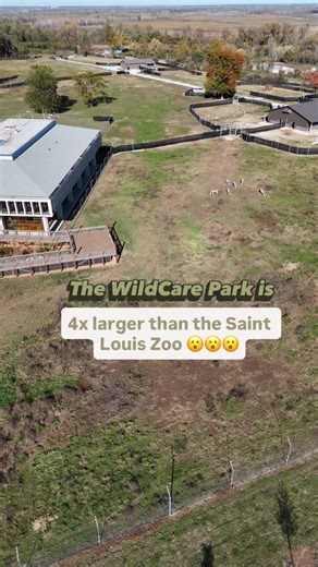 How amazing is this progress at the @stlzoo WildCare Park?!! Expected to open in 2027! 🎉🎉 There are 75 animals from 12 species here now and about 200 animals expected by the opening! 📍Spanish Lake, North St. Louis County We viewed the 5 rhinos, 2 giraffes, 9 Banteng, 6 Grevy’s zebras and the soon-to-be Animal Health Center! Everything was just so incredible and so well designed. There are currently 12 barns built and one more to go!! Overall, this was a dream come true!! What an amazing exper