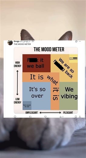 Mood meter to live by