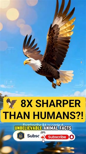 Did you know eagles have eyesight up to 8 times sharper than humans? 🦅