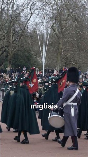 👑 Cambio della Guardia Una tradizione unica shorts#