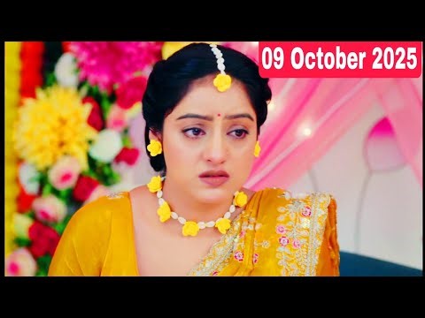 My pond setup and all pets