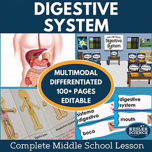 Digestive System Complete Lesson Plan - Grades 6 7 8