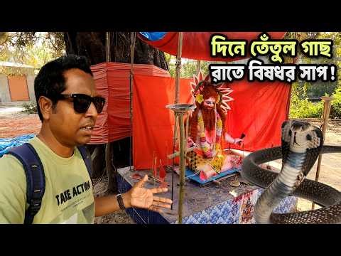 এখানেই নাকি রাতে জেগে ওঠে রহস্য! সন্ন্যাস বাবার মন্ডপ নিয়ে স্থানীয়দের বিস্ময়কর দাবি | Joypurhat