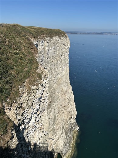 2.4K views · 17 reactions | The beautiful coastline and reserve at RSBP Bempton Cliffs #yorkshirecoastline #bemptoncliffs #rspb #seabirds #daysoutyorkshire | Days Out Yorkshire | Facebook