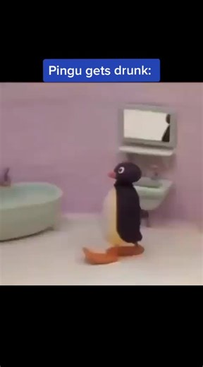 Penguin Reflection: A Drunken Encounter