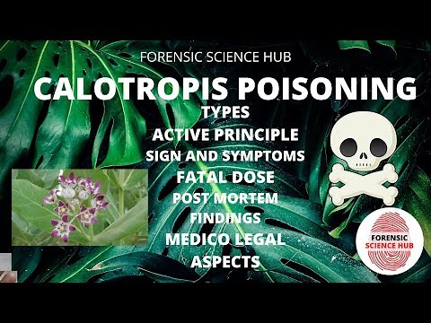 Calotropis plant poisoning | Plant poisons | UGC NET forensic science | Forensic notes
