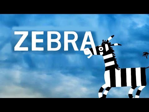 ZEBRA - Animation Short Film
