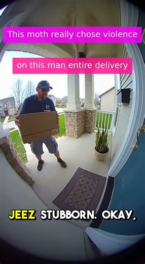 Moth Attacks Ring Camera During Delivery