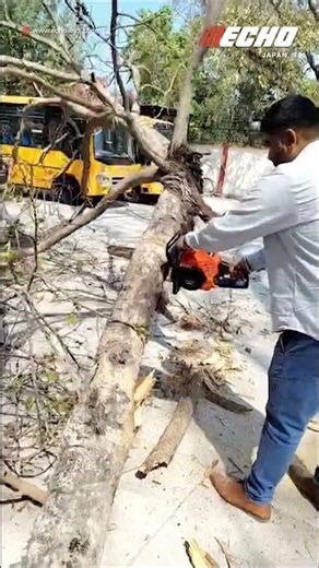 ECHO Chainsaw Demo | Powerful Wood Cutting Machine | Fast & Efficient Performance 🔥