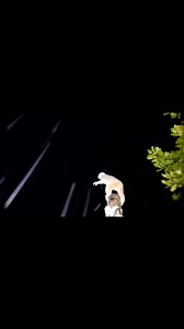 113K views · 221 reactions | สำนักอนุรักษ์สัตว์ป่า Wildlife Conservation Office, Thailand on Reels | Facebook