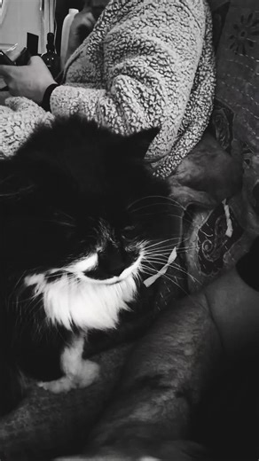 it do be like dat sometime